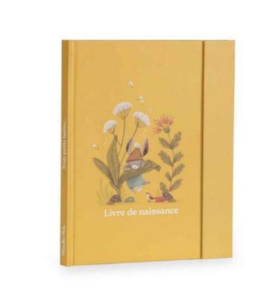 LIVRE DE NAISSANCE TROIS PETITS LAPINS MOULIN ROTY